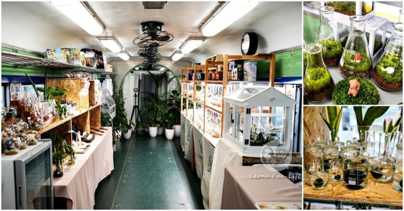 台中新店|微景火車店-DR2700型柴油客車上的綠植小店，多肉觀葉植物還有綠藻球!