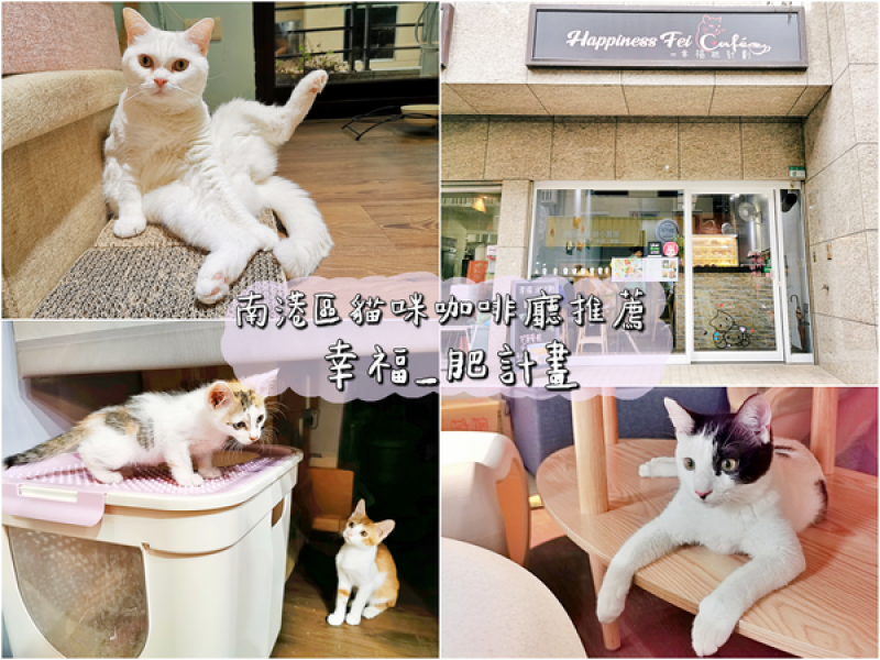 【美食】台北南港「幸福_肥計畫」南港區咖啡廳推薦，貓奴必訪療癒咖啡廳!