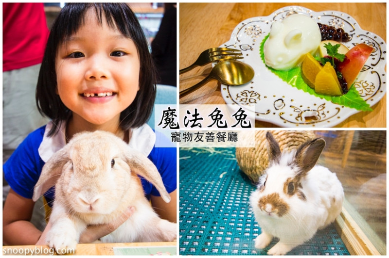 【台中寵物友善餐廳】台中兔子主題餐廳｜魔法兔兔mf22台中寵物友善餐廳～兔兔造型奶酪、冰淇淋，還能與兔子近距離互動