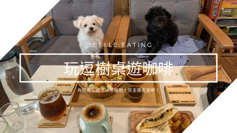 【松山區美食】玩逗樹桌遊咖啡-南京三民店 有吃有玩還可以帶寵物！完全是天堂啊！
