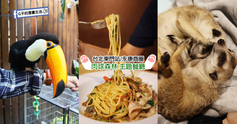 台北-肉球森林-東門站,動物主題餐廳,狐獴.大嘴鳥.貓咪近距離接觸,近永康街