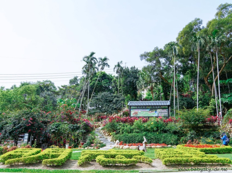 【泰山景點】應化大排生態園區--由當地志工打造的絕美秘密花園