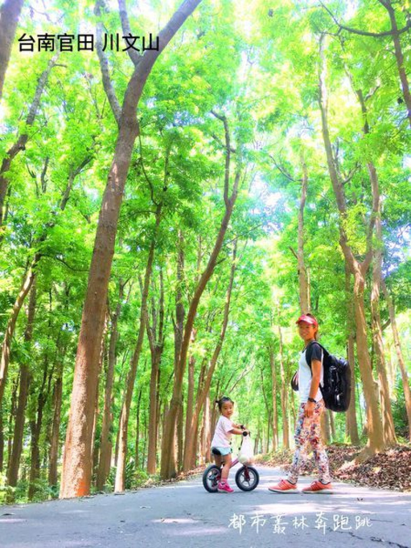 【台南官田】台南的小陽明山　川文山森林生態保育農場