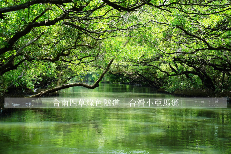 ▌得體夫婦愛玩耍。台南 ▌倒映在綠水中的絕美景色。台灣小亞馬遜 四草綠色隧道