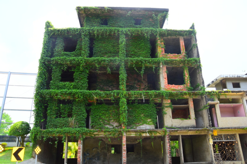 【台南新秘境】綠巨人浩克的家|超現實魔幻場景|被綠色藤蔓包圍的巨大樹屋|最火紅的廢墟報你知