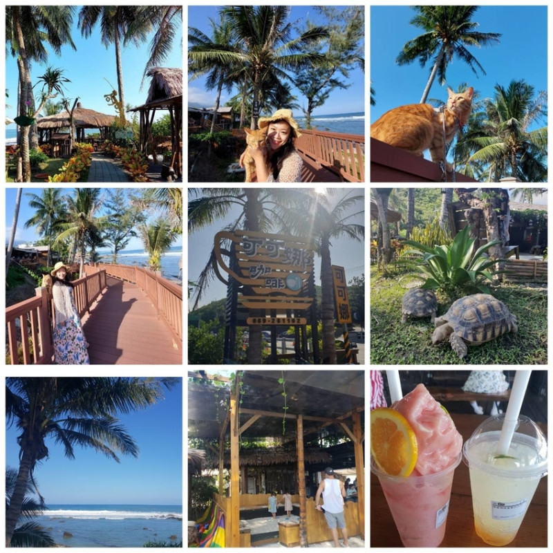 【台東.卑南鄉】可可娜咖啡coconut cafe寵物友善咖啡廳。望海木棧道+椰子樹充滿濃濃海島風情