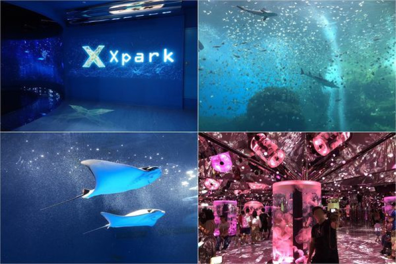 [桃園青埔] Xpark都會型水生公園 ~ 13大展區，超療癒水母、企鵝、水豚，門票交通資訊整理！日本橫濱八景島水族館首間海外分館