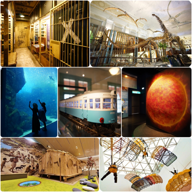 投進媽媽的好球袋⎪北台灣必逛7間博物館！考古尋寶、山城淘金體驗、跟鯊魚比賽跑、跟企鵝一起喝咖啡、鐵道迷必訪。特色博物館一次搞定！