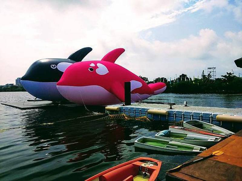 【旅遊】台南「安平虎鯨亮晶鯨-ORCA GO」！虎鯨放閃 美食、水上樂園樂翻天