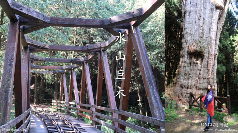 【旅。嘉義】阿里山水山線步道-2700年神木水山巨木 ♫ 沐浴大自然的鬼斧神工 ♬