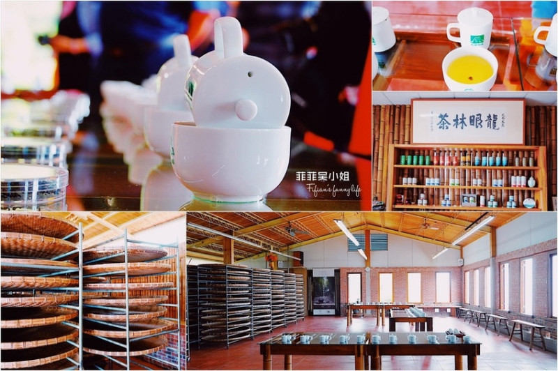 | 嘉義景點 | 嘉義梅山精緻旅遊 龍眼林茶工場 如何喝出冠軍茶的祕密 體驗比賽茶等級的評鑑方式