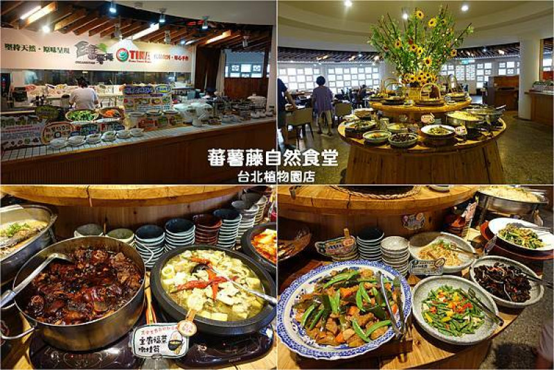 [自助餐] 蕃薯藤自然食堂 (台北植物園店) ~ 最健康的自助餐廳，天然有機食材吃到飽，多種熱食、生機沙拉吧、精力湯、飲料、甜點