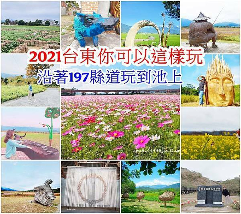 【台東 旅遊 】2021打卡熱點 不同的玩法，從台東沿著197到池上 漂鳥197藝術裝置