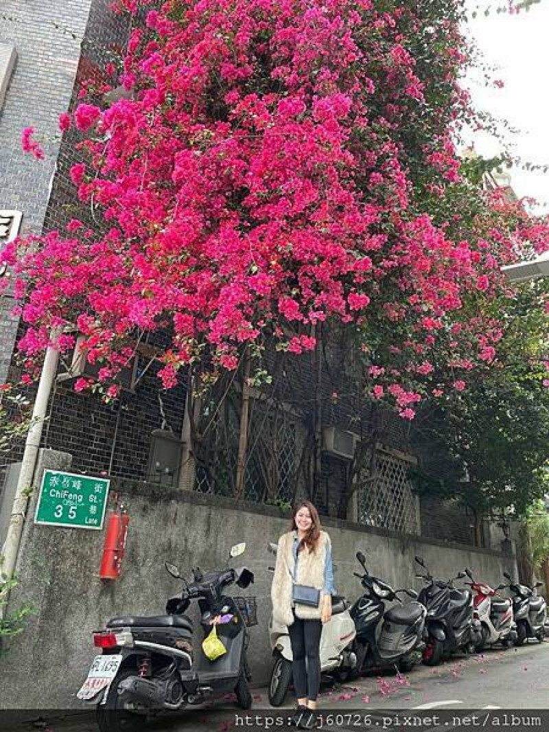 【台北赤峰街/季節限定】限時滿開的天然花藝，經過赤峰街快收藏起來。