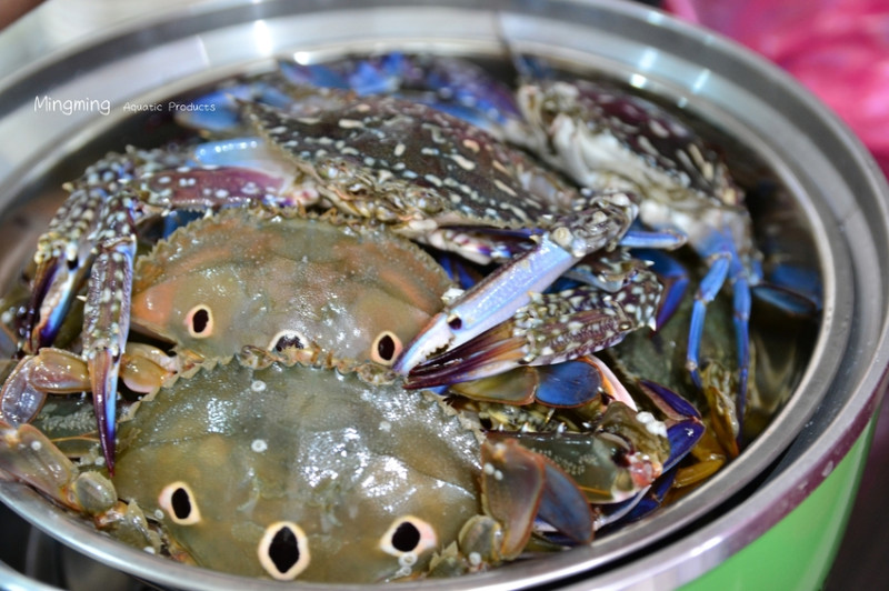 【東石漁市場】三點蟹、花蟹
