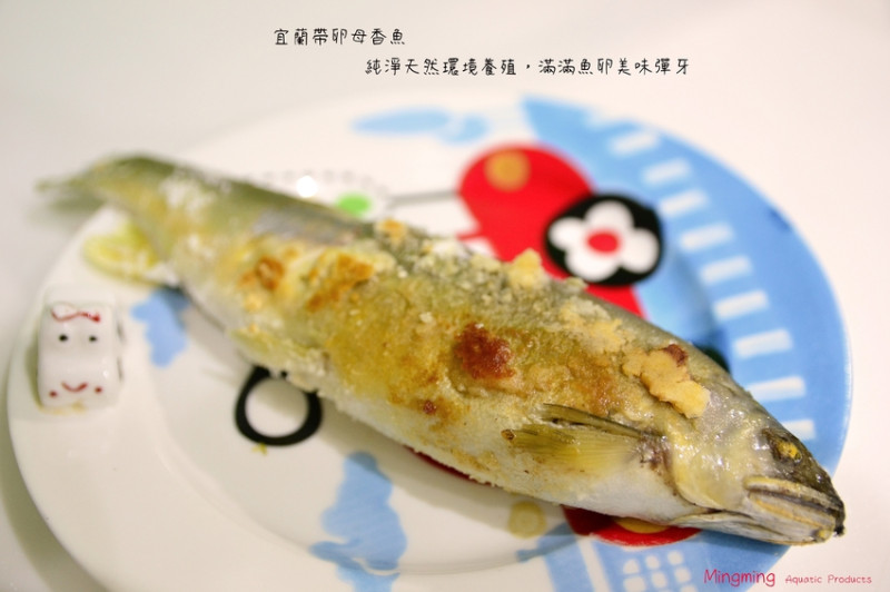 鹽烤母香魚-東石海產