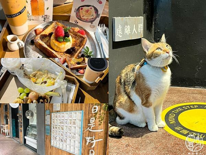 【早初entry time】餐點美味｜文青感十足｜可寫明信片寄給未來的自己 還有三隻可愛的店貓相伴