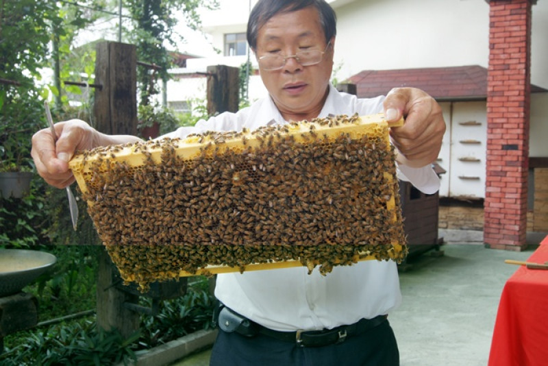【南投】埔里宏基蜜蜂生態農場尋蜜去