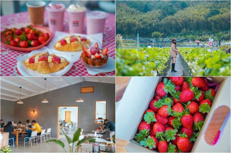 【苗栗大湖｜美食】紅色琉璃瓦& SUHU Café。苗栗大湖高架草莓，規劃用餐區，供應滿滿的草莓甜點和飲品