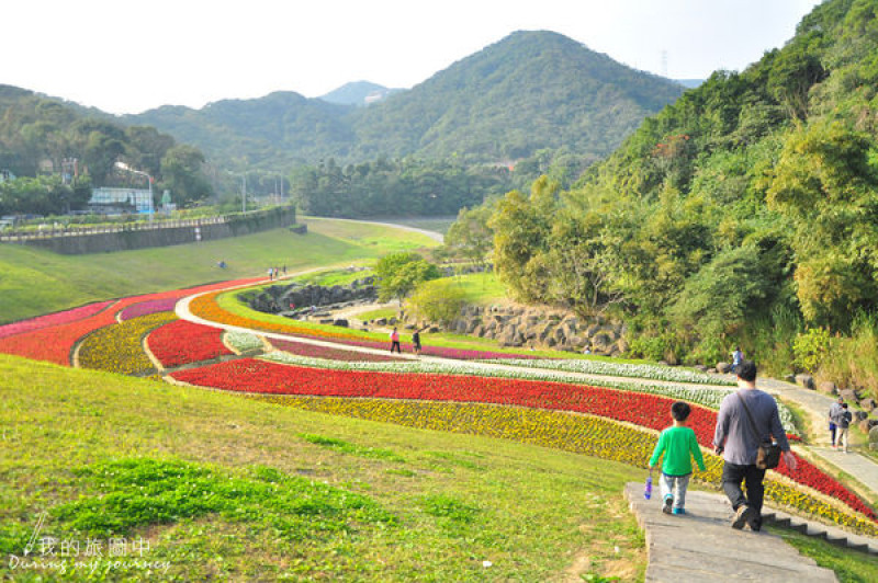 【遊記】台北內湖 大溝溪親水公園 花毯、野餐私房景點