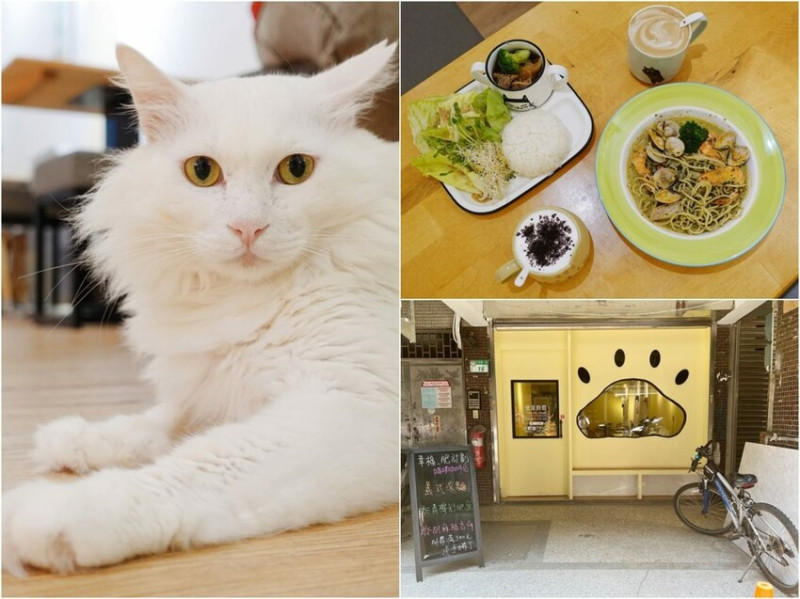 南港|幸福肥計劃咖啡店 貓咪咖啡廳，溫暖舒服的療癒空間 2022年菜單提供 - 佐伊時尚玩樂誌