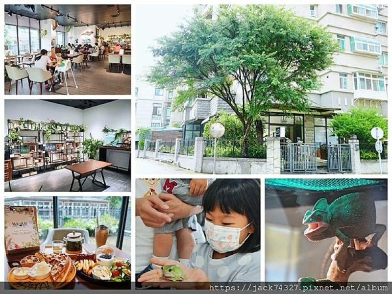 新竹竹北親子餐廳推薦：「微迷野林竹北店」，可以邊吃飯邊欣賞觀察動物、爬蟲類，用餐結束還可以免費參加飼育體驗，近距離接觸各種動物。