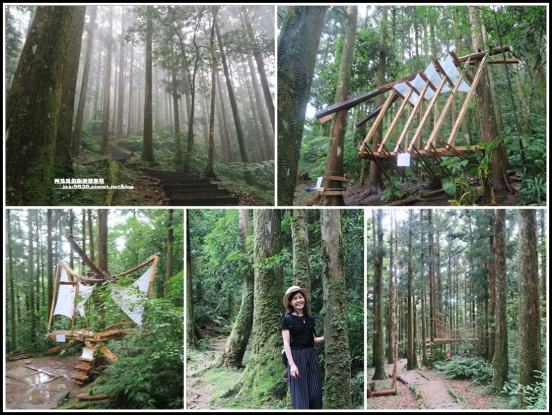 東眼山打卡新亮點森林裡的木構裝置藝術｜漫步杉林間享受芬多精｜避暑療癒系步道