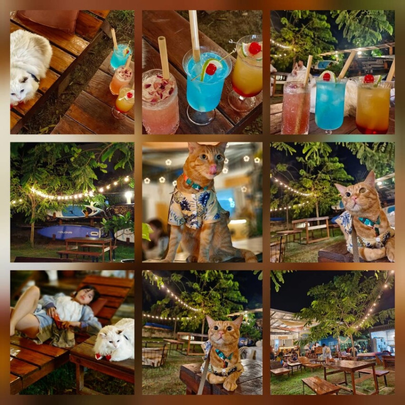 【屏東.小琉球】寵物友善戶外酒吧。靠岸Tea&bar有三張躺椅超悠閒夜生活。來小琉球喝酒吧