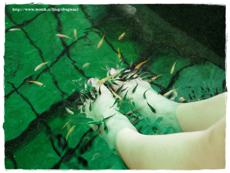 [宜蘭‧礁溪] 湯圍溝溫泉公園 --- 溫泉魚咬咬初體驗，擺脫厚重腳皮，迎接光滑的腳ㄚ兒吧 ~