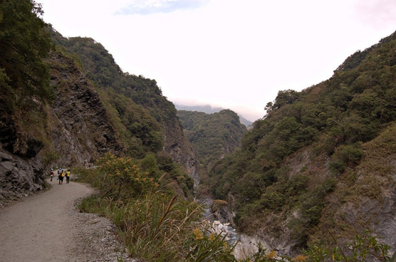 [散旅]花蓮白楊步道~原始的好風景還有瀑布跟水濂洞