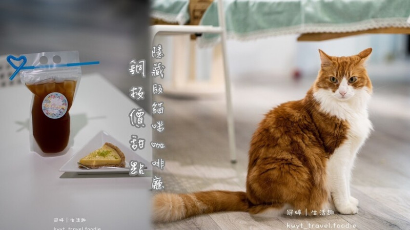 【Le Chat 聊夏貓旅x咖啡】貓控必訪！隱藏版貓咪咖啡廳，新竹高鐵巷弄寵物友善餐廳+1│菜單