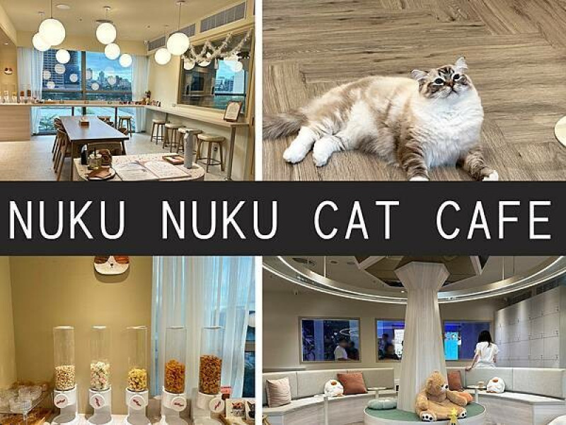 【台北】NUKU NUKU CAT CAFE｜一邊嚕貓一邊賞夜景，計時制貓咪咖啡廳｜柴貓趴趴走