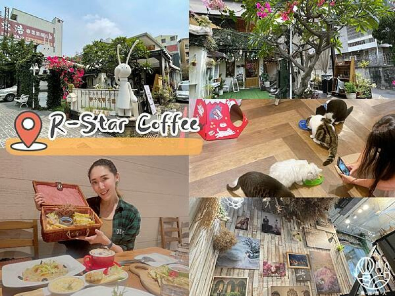 【R-Star Coffee｜台中貓咖】貓咪主題餐廳不僅貓貓可愛 餐點也十分有水準 一二樓都超美好拍