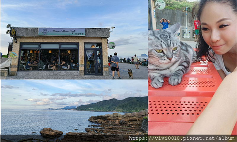 基隆.安樂-讓你瘋狂吸貓又能欣賞絕美海景，優閒午後來喵喵咖啡享受被貓咪圍繞的滿足感