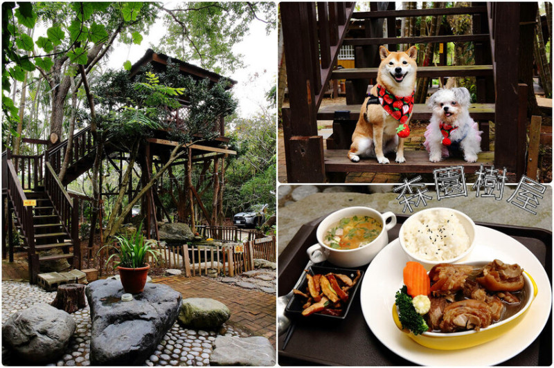 新竹寵物友善餐廳，森園寵物友善樹屋咖啡莊園，咖啡好喝，寵物超級友善，值得大推的美好店家！