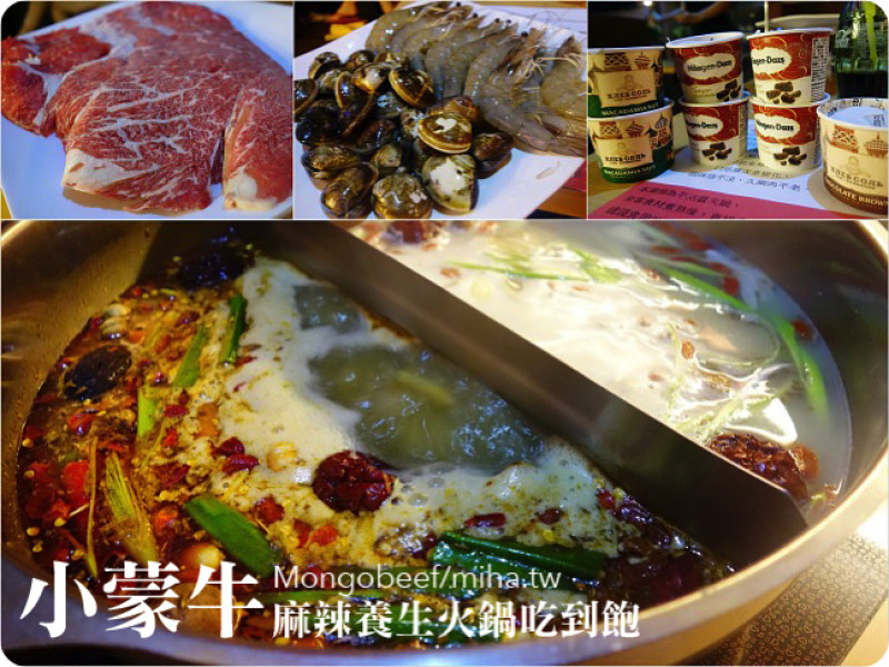 台北 ▌小蒙牛麻辣養生火鍋吃到飽:肉質海鮮超棒還可以吃到整杯卡比索和哈根達斯