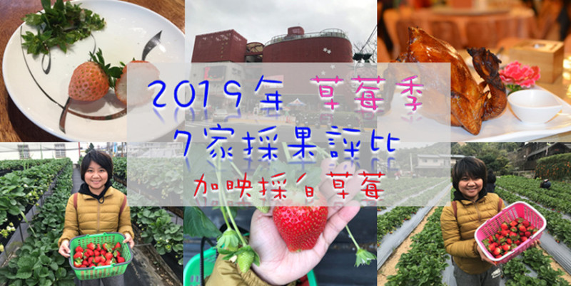 【火車&巴士客運】2019年草莓季7家採果評比|加映採白草莓