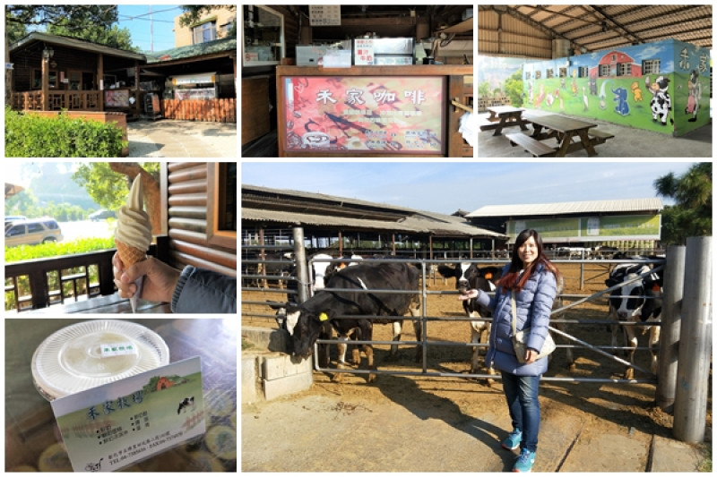 【彰化市景點】禾家牧場~奶酪和霜淇淋都很香醇好吃，免費順遊景點        
      