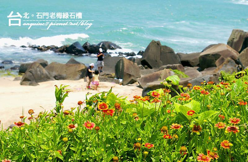 [台北。老梅石槽] 北海岸季節限定!!!點綴在海岸邊的翠綠閃亮綠寶石
