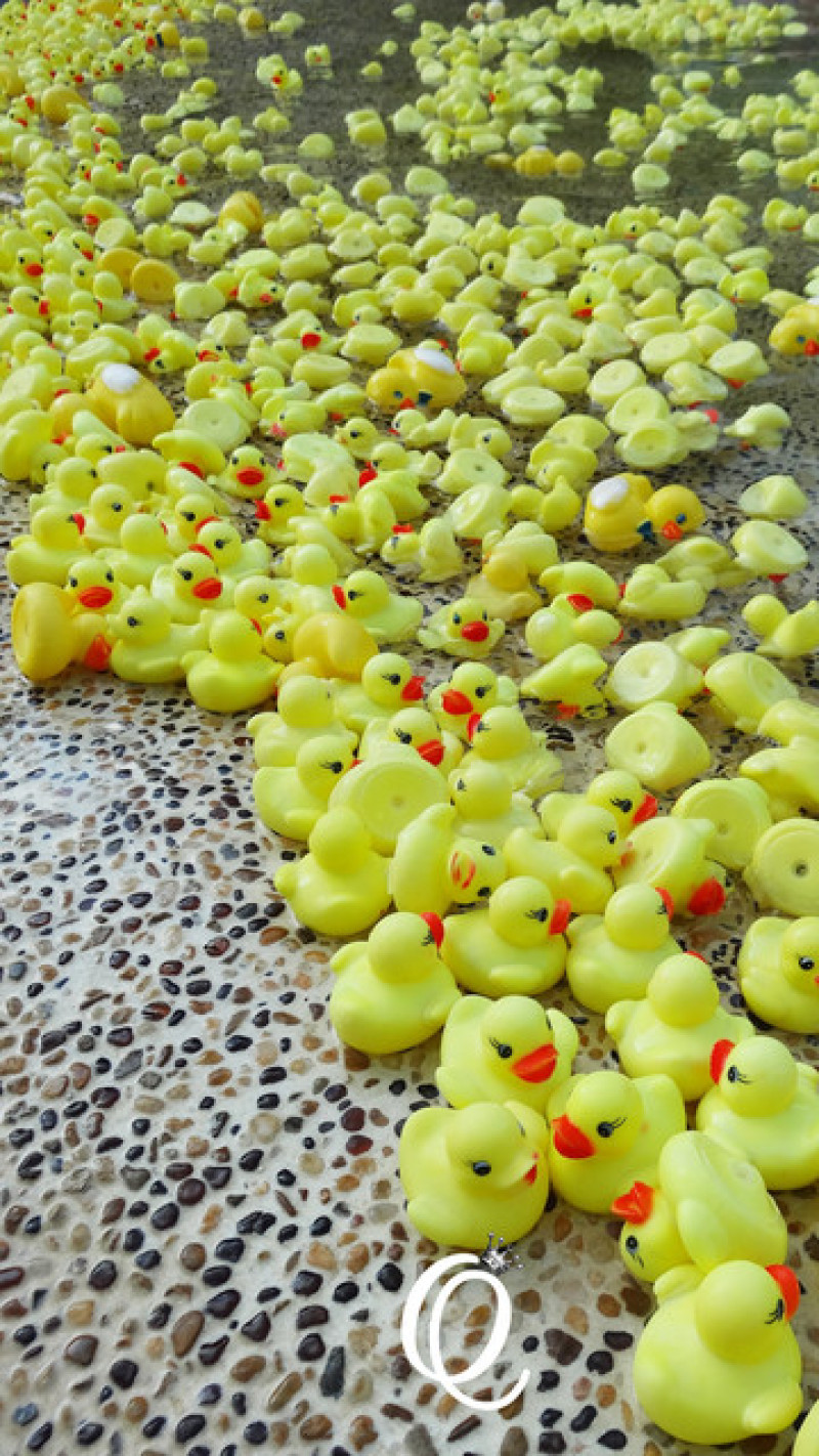 黃色小鴨到宜蘭-[住宿]礁溪長榮鳳凰酒店