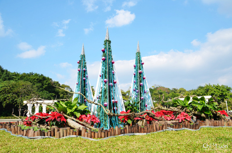 [台北]2014-2015台北花卉展。花現藝樹，聖誕紅了(圓山花博公園)
