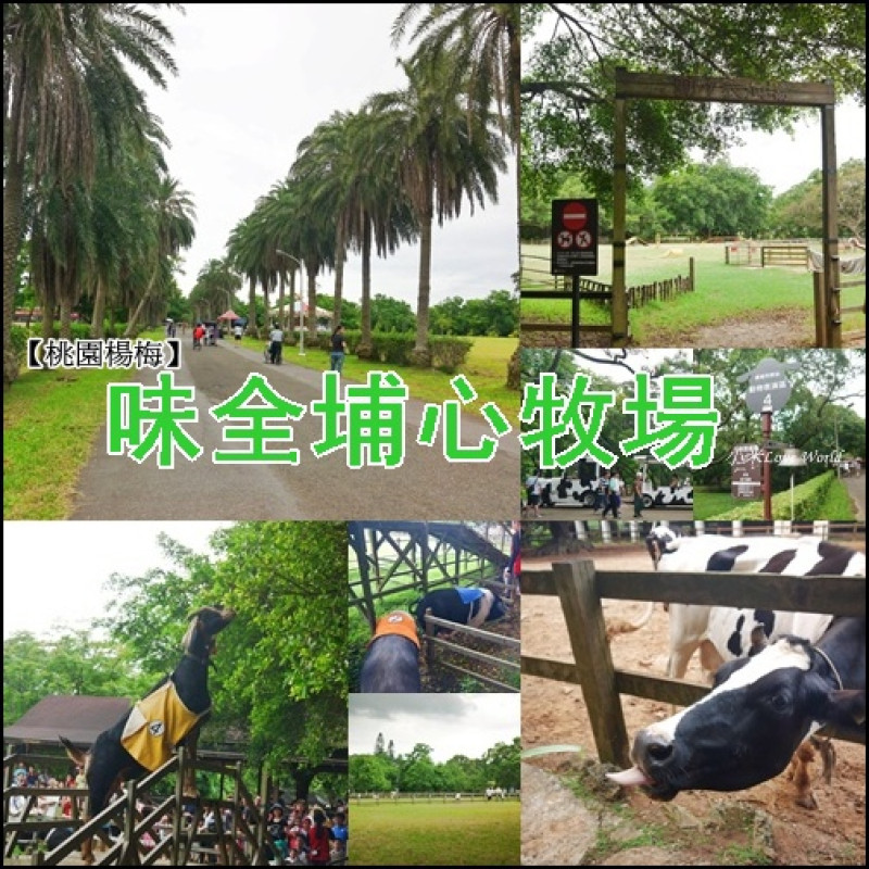 [遊記]桃園楊梅-味全埔心牧場 全家出遊好去處之歡樂動物賽跑好有趣