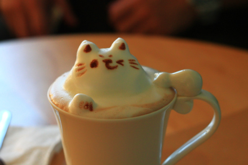 [台中] 貓旅行咖啡輕食館