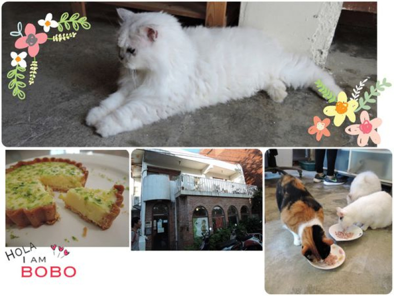 [食記。寵物餐廳] ♥♥ 新北市三芝 Coffee Door Cafe` & Meo-Woo 貓雜貨咖啡館 ♥♥