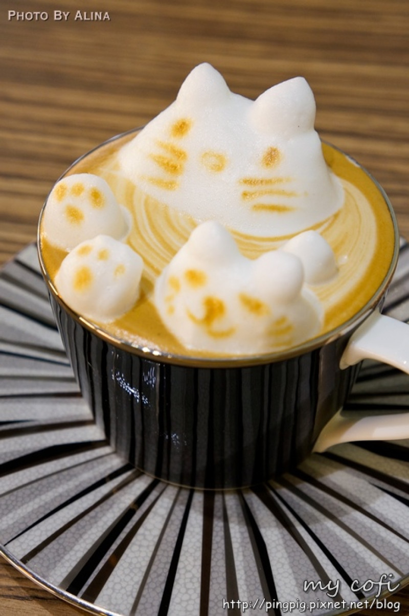 [ 食記 ] 高雄市苓雅區信義國小站 My cofi-來看貓咪泡溫泉 3D立體咖啡拉花!