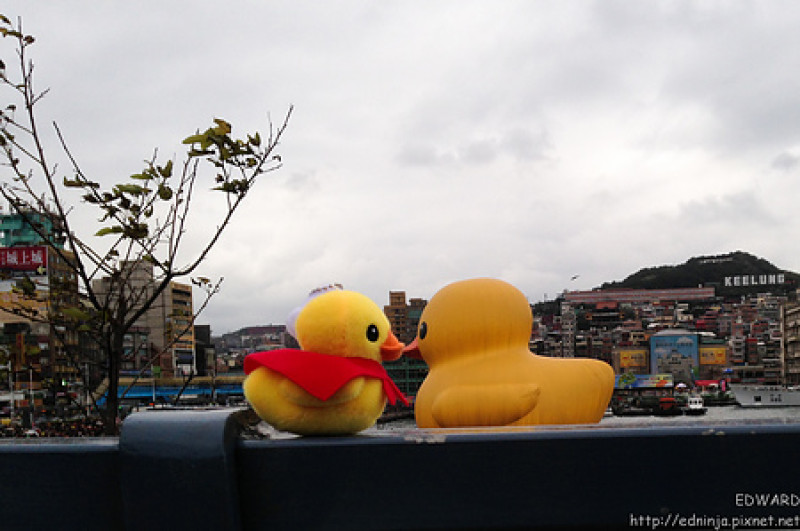[遊記]基隆 跟黃色小鴨一起過聖誕節,迎接2014