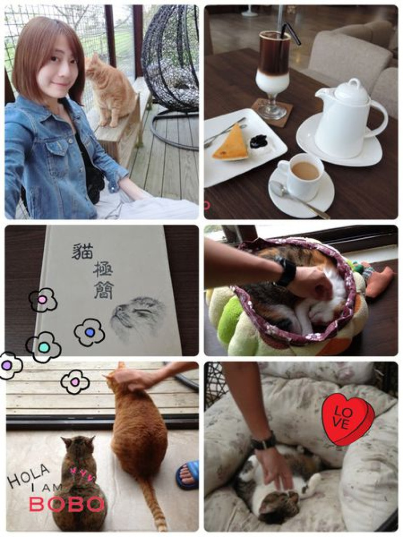 [食記。寵物餐廳] ♥♥ 貓極簡咖啡宜蘭店 貓山貓海的咖啡店 貓奴一定要朝聖啊啊啊 宜蘭景點 ♥♥