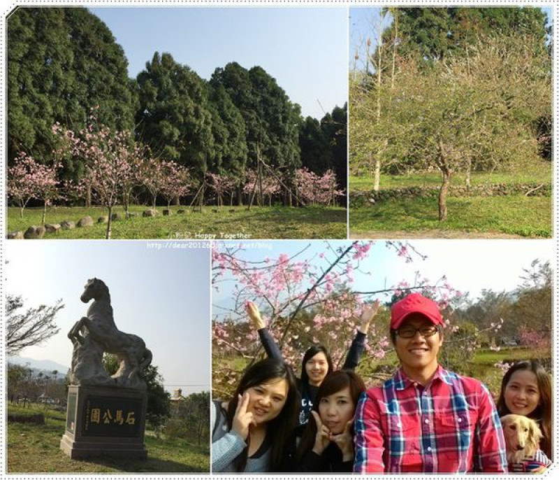 【遊記】南投鹿谷▶小半天-石馬公園♥櫻花景點。來去賞櫻囉!