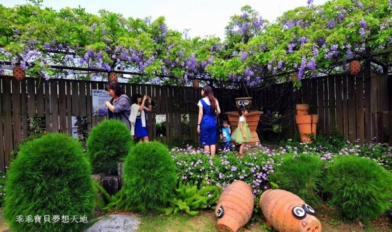 台北花卉村 - 紫藤花季。園藝。親子DIY
