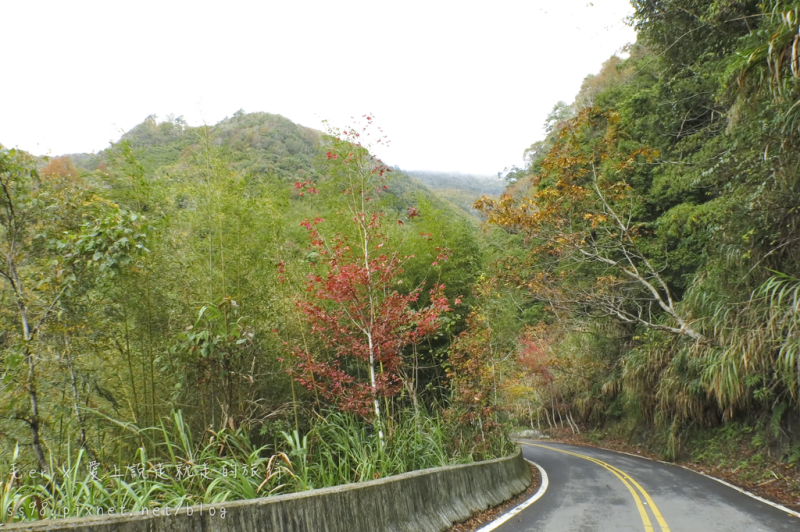 新竹遊記【尖石鄉】楓葉紅了　前進新竹深山看大山風景　泰雅族生活的部落「秀巒」